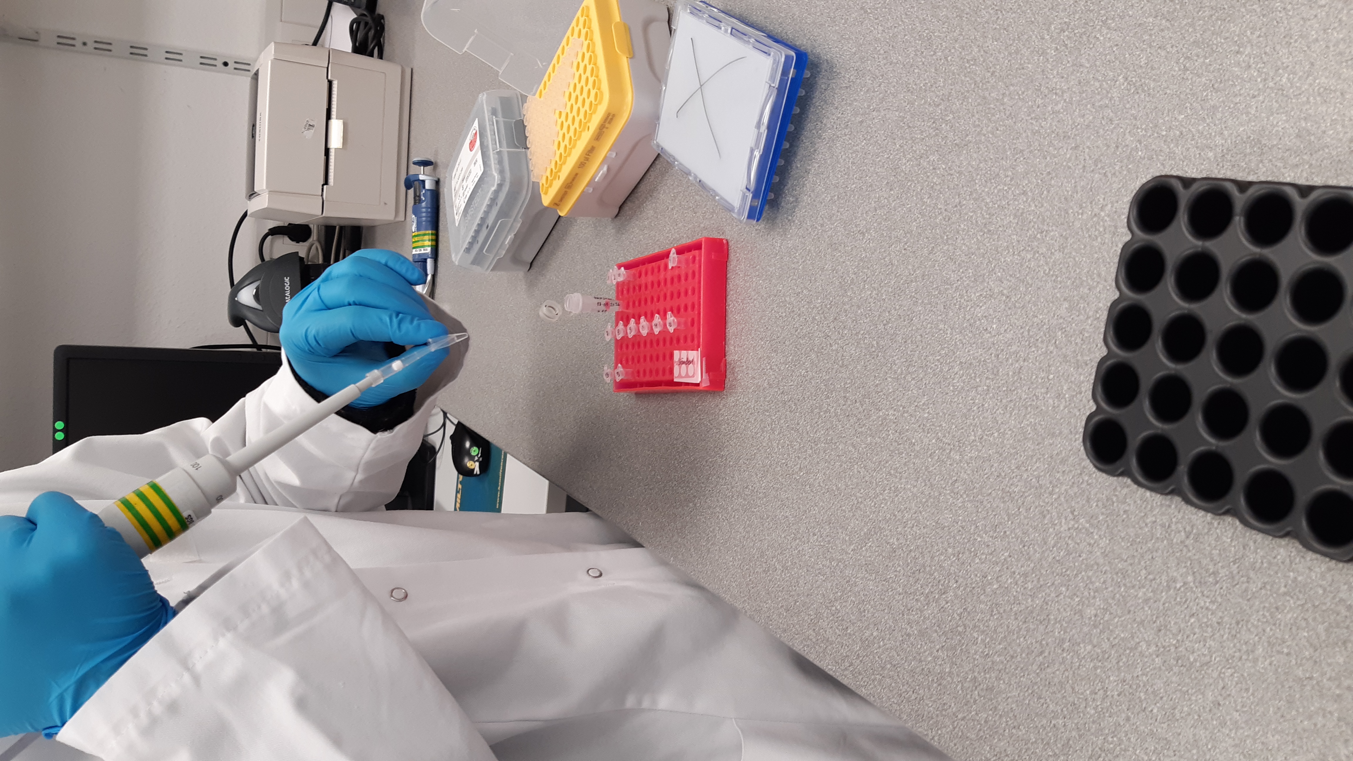 Laborarbeit mit Geräten und Proben